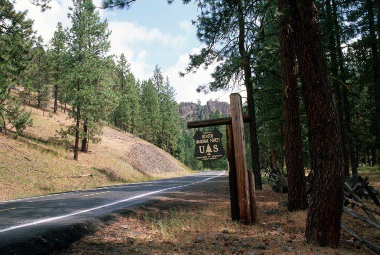 Ochoco National Forest sign