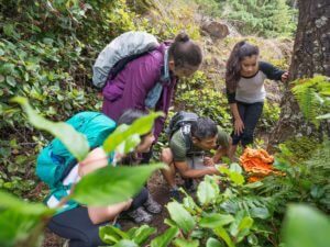 Students at Outdoor School study tree fungus