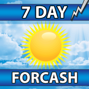 7 Day Forcash tile